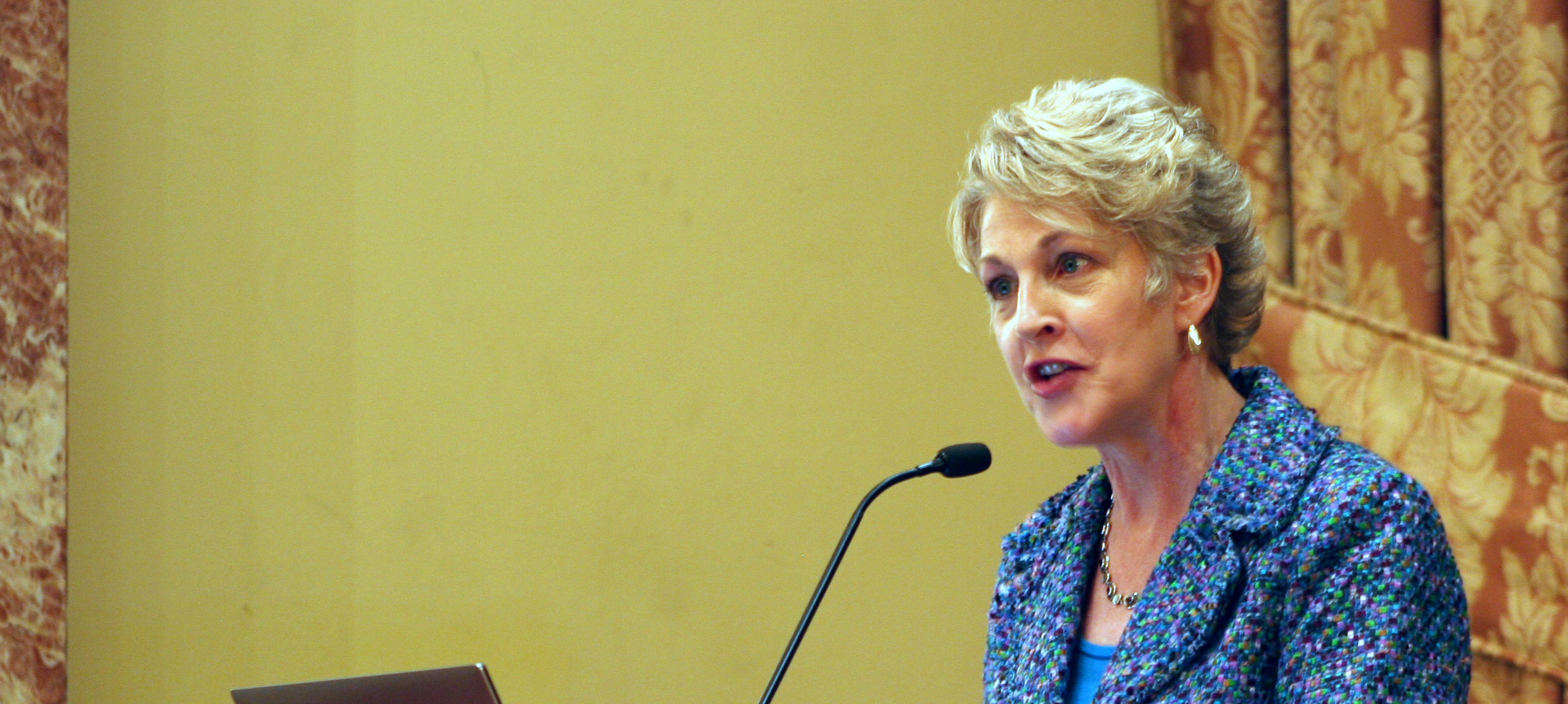 sister renlund cropped color