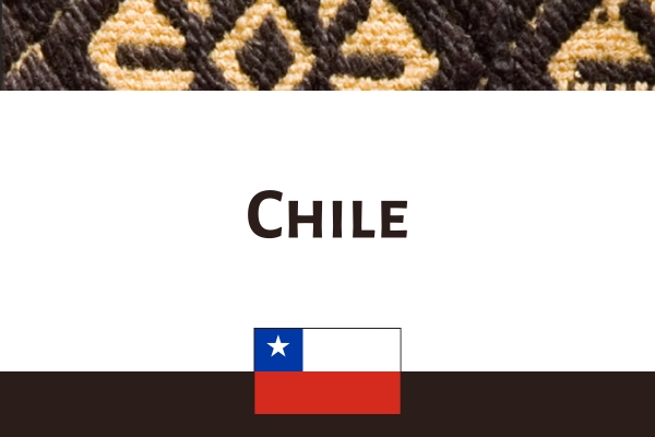 Chile graphic 2025