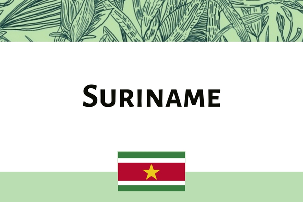 suriname 2026 graphic
